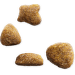 Krmivo IAMS Cat Adult Ocean Fish 2kg + 500g zdarma