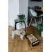 Misky Dog Fantasy nerez s dřevěným stojánkem s železnou konstrukcí 2x400ml