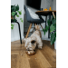 Miska Dog Fantasy s dvojitou stenou rosegold 12cm 376ml