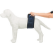 Brušný pás na podložky Trixie pre psa samca tmavo modrý XL