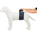 Brušný pás na podložky Trixie pre psa samca tmavo modrý S
