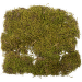 Prírodný terarijný mach Repti Planet 35×30 cm