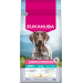Krmivo Eukanuba Special Care Adult Working a Endurance 15 kg