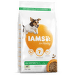 IAMS Dog Adult Small &  Medium Lamb 3kg