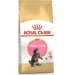 Корм для котят – Royal Canin Maine Coon Kitten, 2 кг