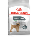 Royal Canin Dog Mini Dental 1 kg