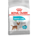 Royal Canin Dog granuly pre psy mini urinary care 1 kg 