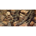 Pozadí AQUA EXCELLENT Root 120 x 50 cm