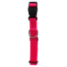 Kakla siksna - Dog Fantasy Classic Neilona S, 1,5 cm, 27-37 cm, rozā