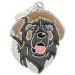 Známka My Family Friends Leonberger