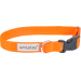 Obojek pro psy Amiplay Samba nastavitelný oranžový L 35–50 cm × 2,5 cm