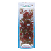 Декоративное растение для аквариума – Tetra Red Ludwigia M