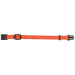 Nylonový rozeznávací obojek pro štěňata M-L 22-35cm/10mm světlý