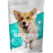 Kloubní výživa pro psy Geloren Dog S–M 180 g