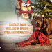 Konzerva Brit Care Dog Christmas jahňacie s mrkvou, cuketou a rozmarínom 400g