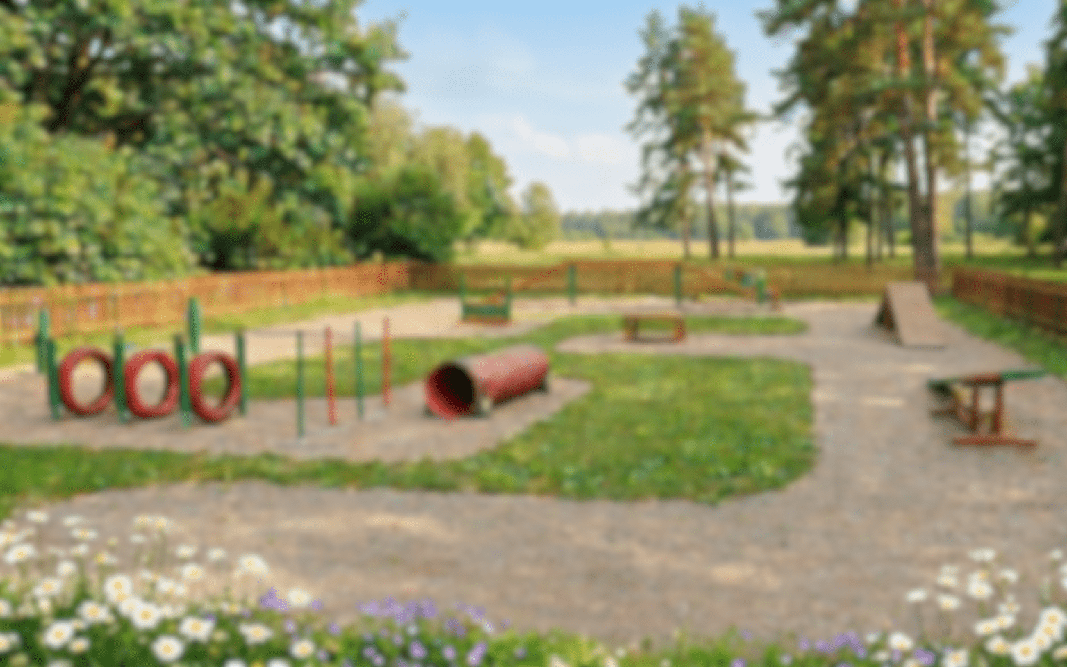 Аджилити туннель для собак – TRIXIE Dog Activity Agility Basic Tunnel, 60 см/5 м, Blue
