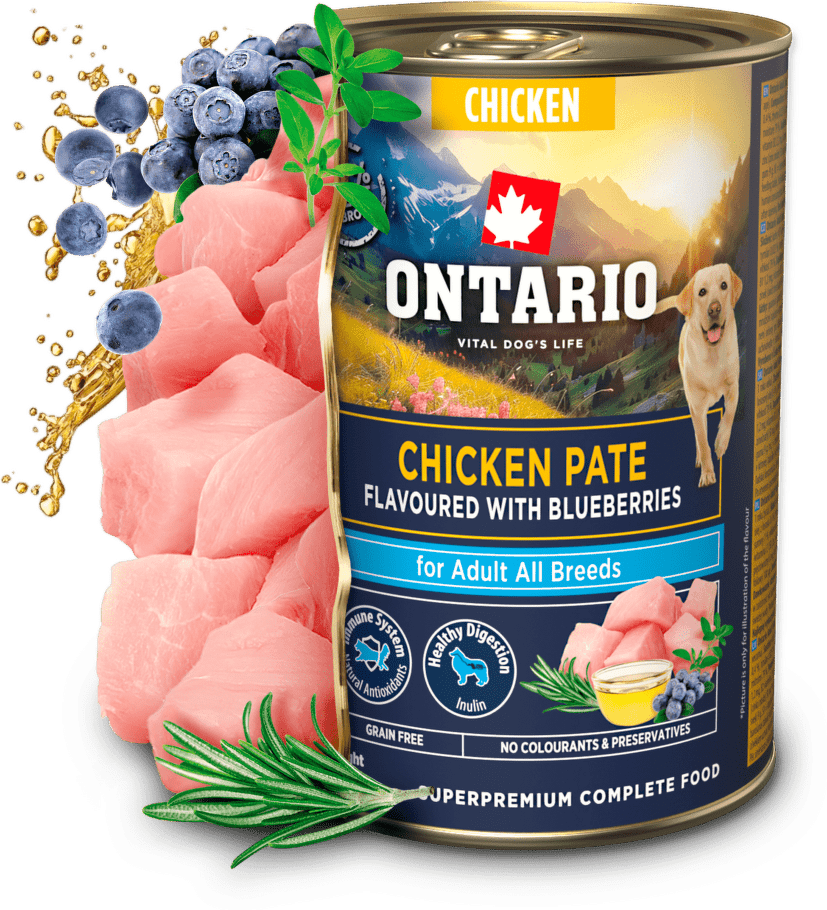 Konzerva Ontario Adult kuřecí pate s příchutí borůvek 400 g