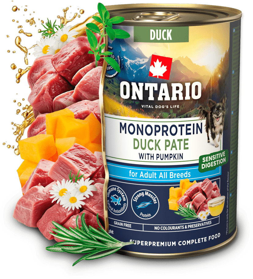 Konzerva Ontario Adult Monoprotein kachní pate s dýní 400 g
