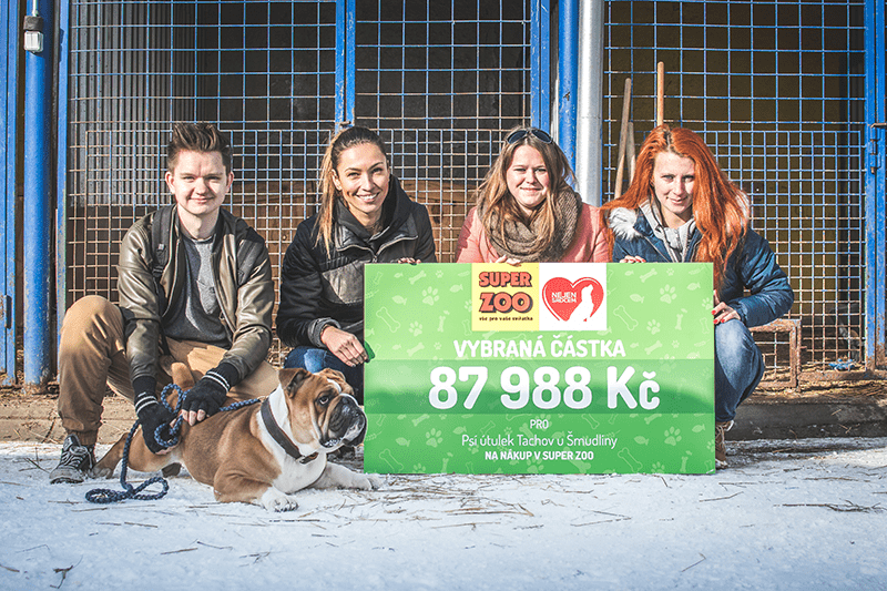 87 988 Kč pro útulek Šmudlina v Tachově