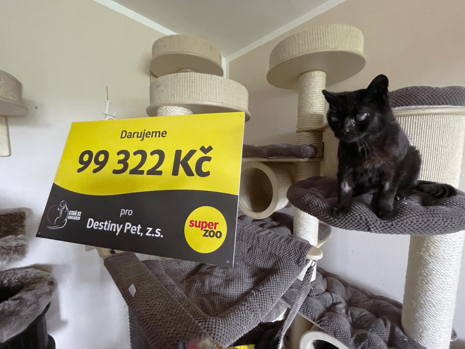 Destiny Pet