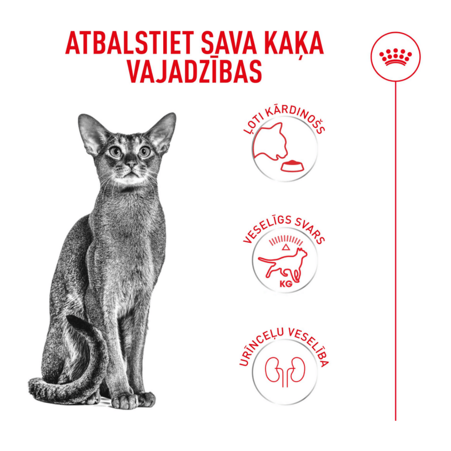 Royal Canin Fussy Exigent barība atbalsta kaķa vajadzības
