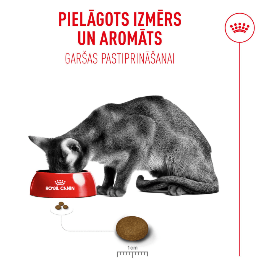 Royal Canin Fussy Exigent kaķu barība – pielāgots granulu izmērs un aromāts