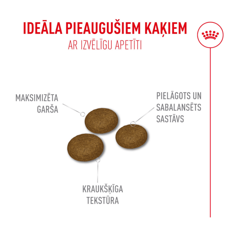 Royal Canin Fussy Exigent kaķu barības granulas