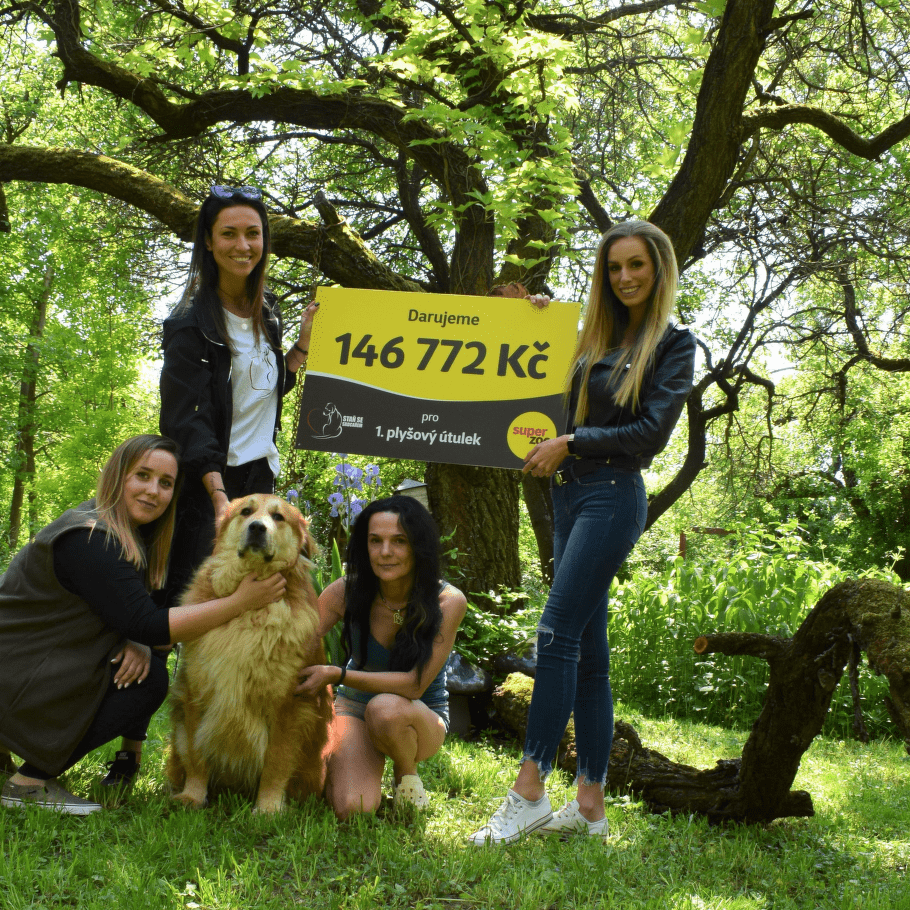 1. plyšový útulek