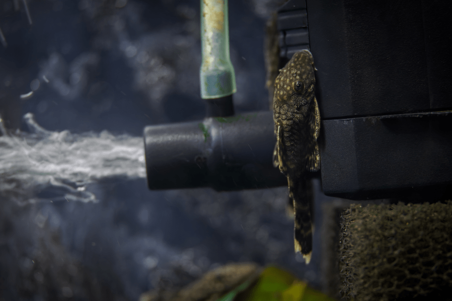 akvārija filtrs